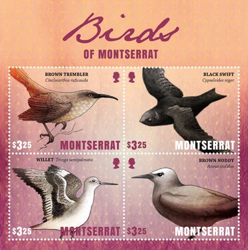 Montserrat 2016 Birds M/S MNH