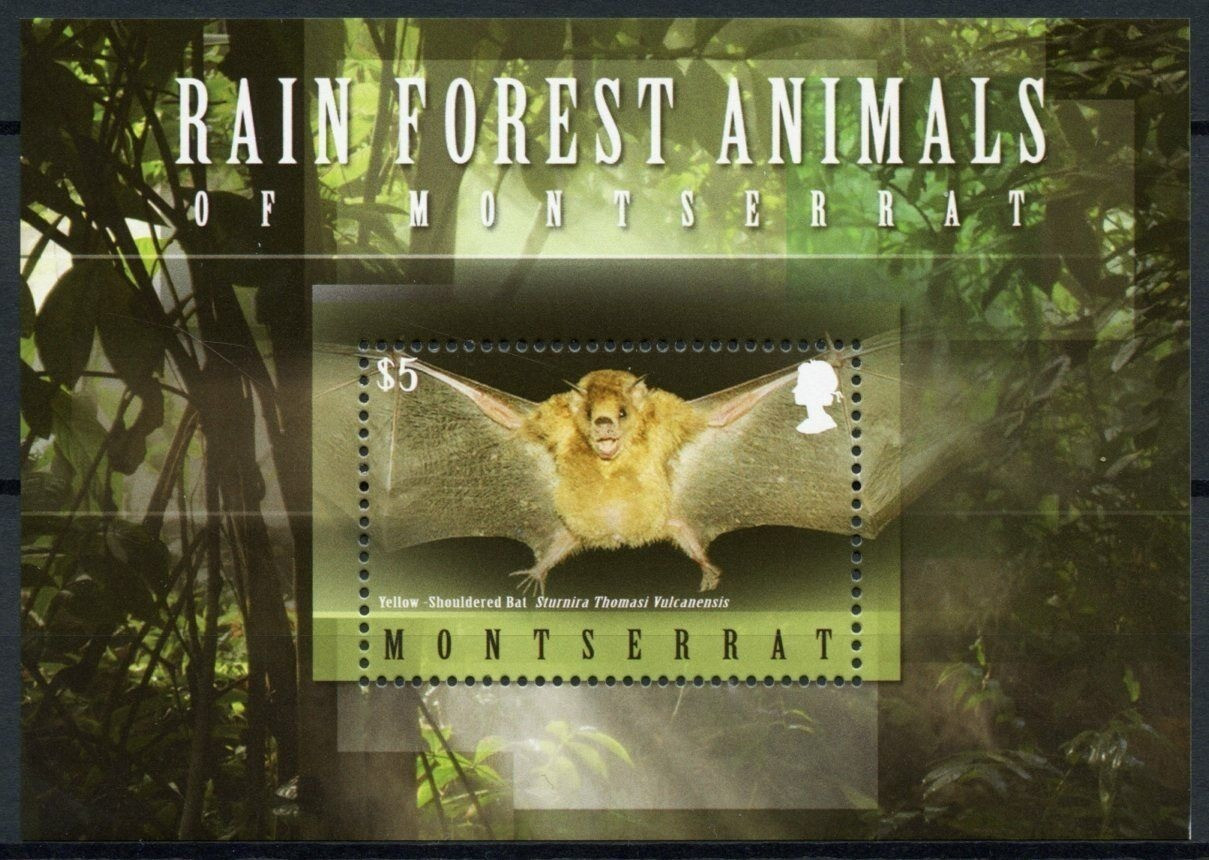 Montserrat Wild Animals Rain Forest Bats M/S MNH