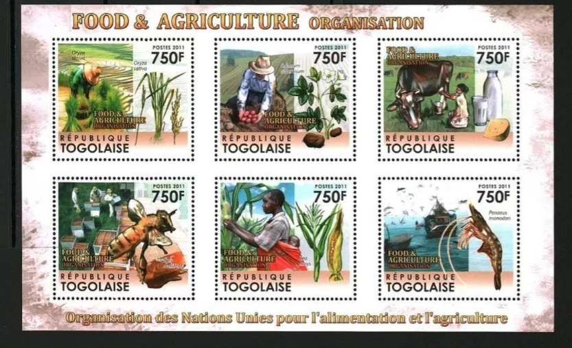 Togo 2011 Food & Agriculture Organisation Stamps M/S MNH