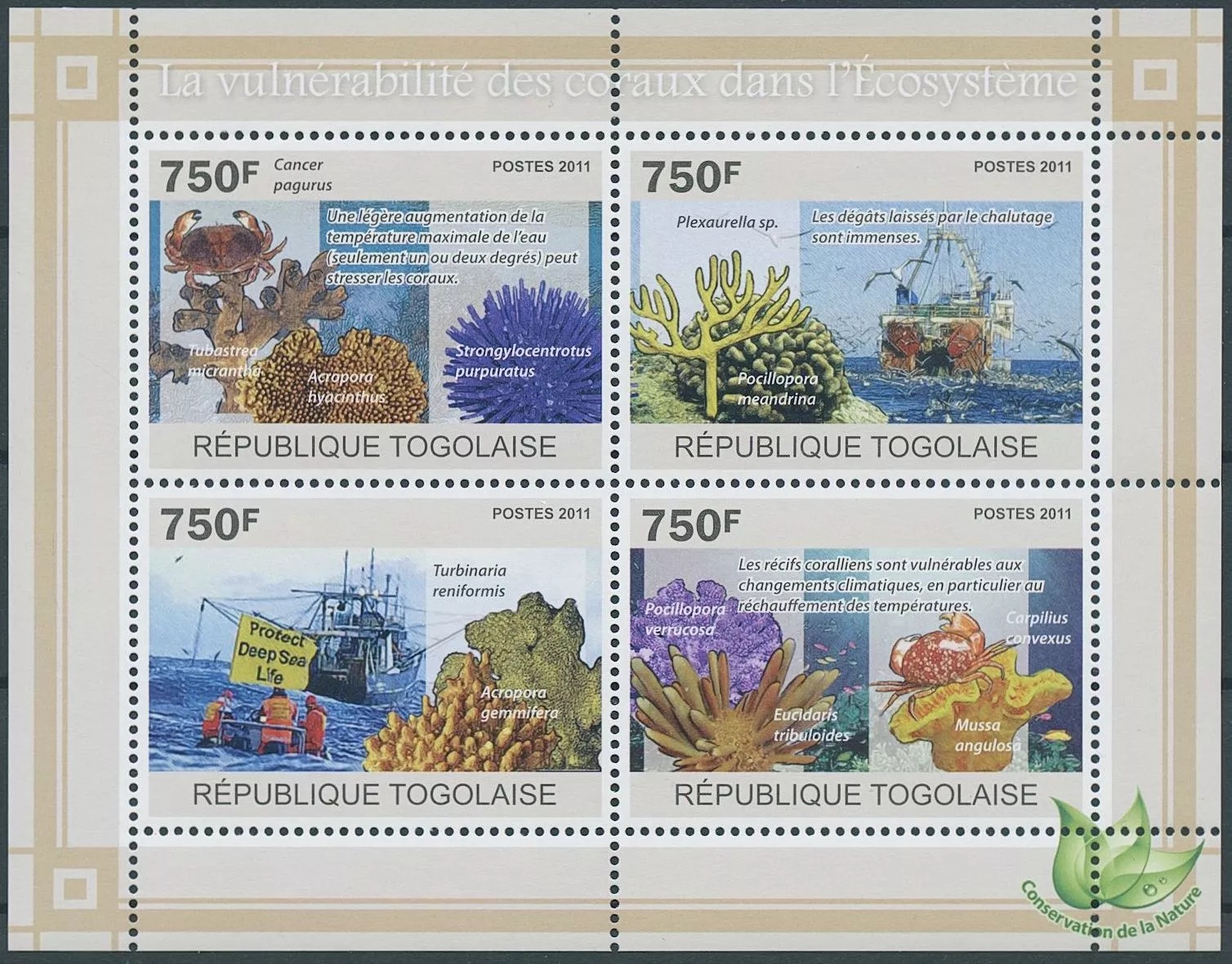 Togo 2011 Corals in Ecosystem Marine Animals M/S HMN