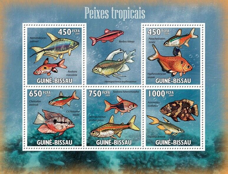 Guinea Bissau 2009 Tropical Fishes M/S MNH