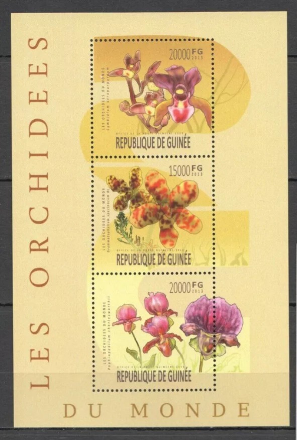 Guinee 2013 Flora Flowers Orchids M/S MNH